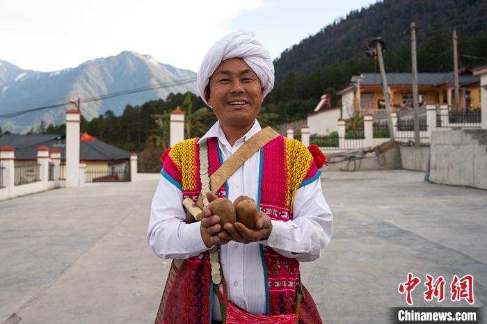 1月29日，京都村委會主任阿胖正在展示該村種植的獼猴桃。<a target='_blank' ><p  align=