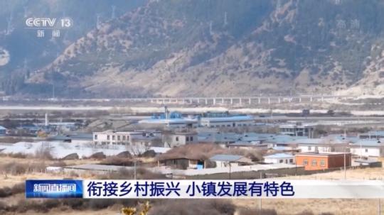 種蘑菇、養(yǎng)駱駝...。。特色產(chǎn)業(yè)助力鄉(xiāng)村振興走新路