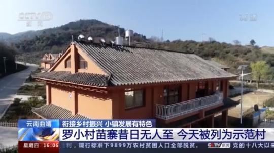 種蘑菇、養(yǎng)駱駝...。。特色產業(yè)助力鄉(xiāng)村振興走新路