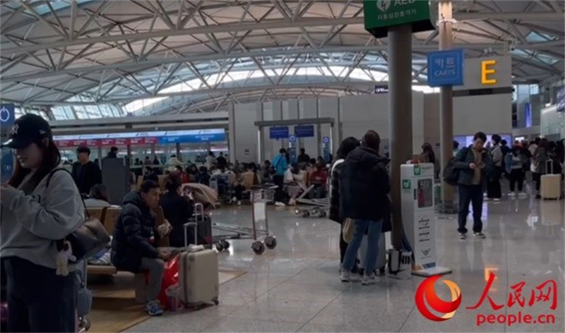 11月29日，繁忙的仁川機(jī)場。人民網(wǎng) 李帆攝