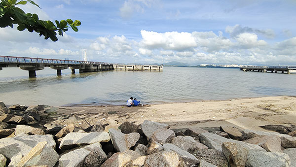 深圳紅樹林灘涂，留給了孩子們親近自然的空間。人民網(wǎng)記者 李彤?dāng)z