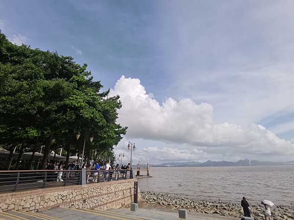 紅樹林灘涂沿線一角。人民網(wǎng)記者 張素玲攝