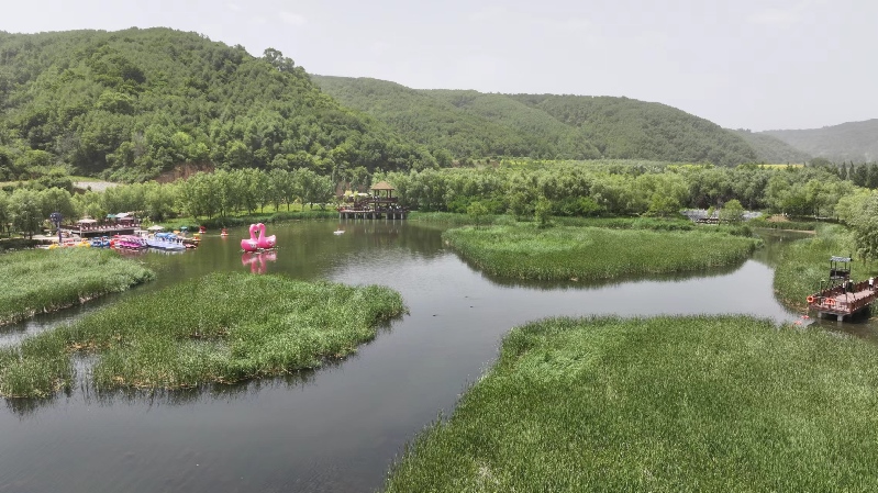 【高質(zhì)量發(fā)展調(diào)研行】延安:“紅”與“綠”交相輝映