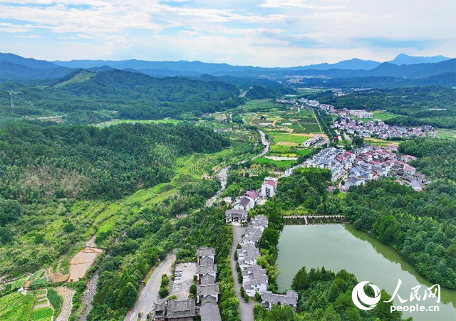 資溪縣森林資源豐富，森林覆蓋率達(dá)87.7%，有林地資源168萬畝。人民網(wǎng) 朱海鵬攝