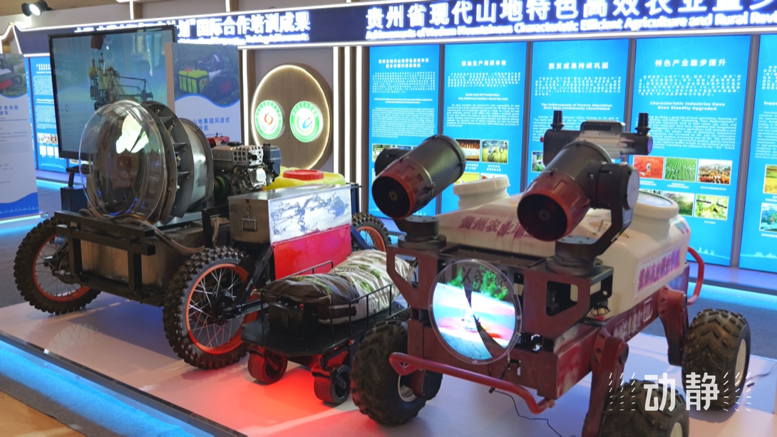 展示成果分享經(jīng)驗，中國—東盟教育交流周深化合作共創(chuàng)未來！