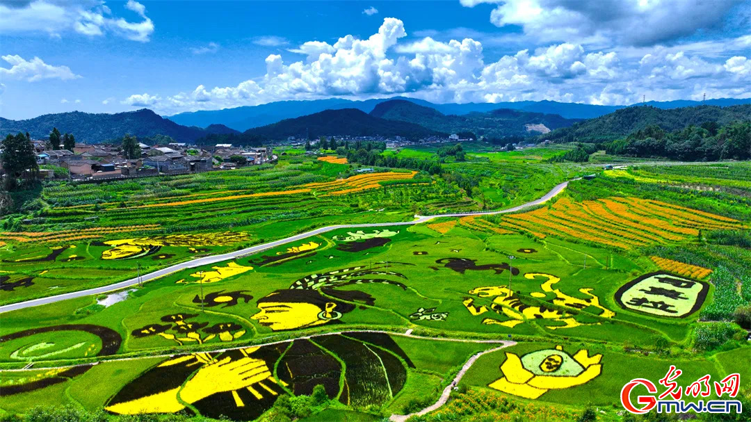 云南清水：延伸公共法律服務觸角，讓普法與民族團結進步互促共融