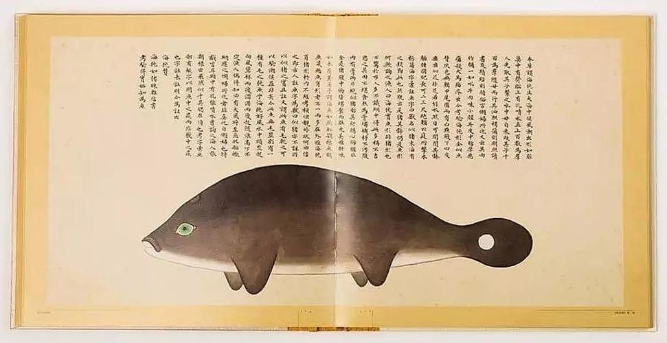 文化中國行 長江之歌丨微笑的江豚，從四千年前“游”來