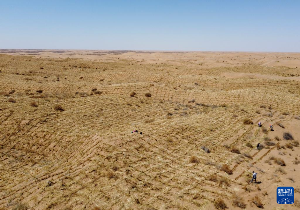 2024年4月10日，群眾在古浪縣八步沙林場麻黃塘沙區(qū)用草方格壓沙。新華社發(fā)（無人機(jī)照片）