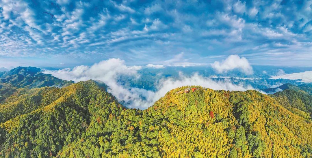 　三明森林生態(tài)環(huán)境優(yōu)美。