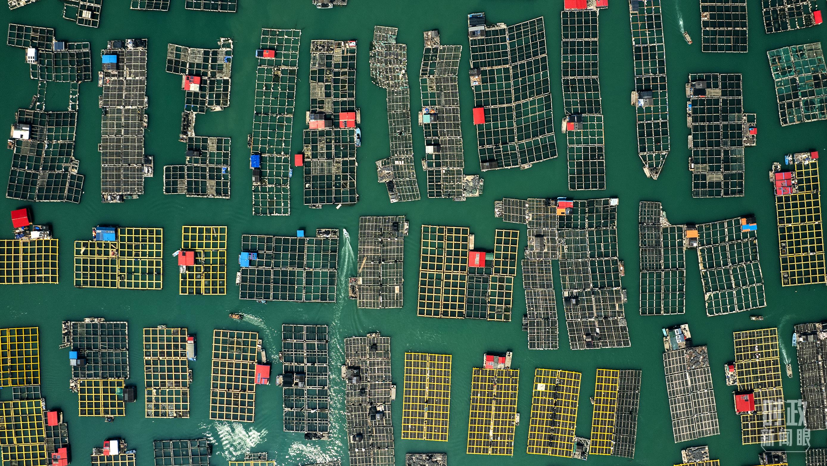 △澳角村。（總臺記者李晉拍攝）