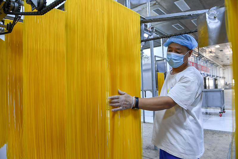 2024年1月25日，在吉林省公主嶺市的一家公司車間，工人查看玉米面條生產(chǎn)情況。