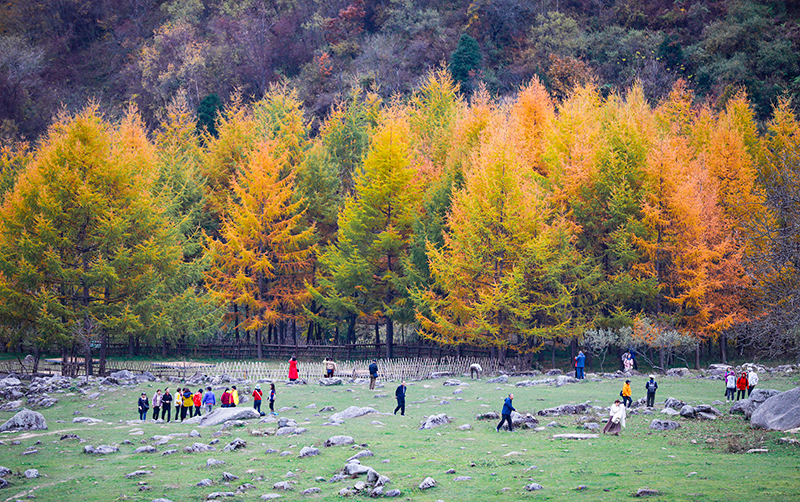 2023年10月27日，深秋時節(jié)的陜西秦嶺太子嶺漫山紅黃、色彩交織，進入最佳觀賞期。