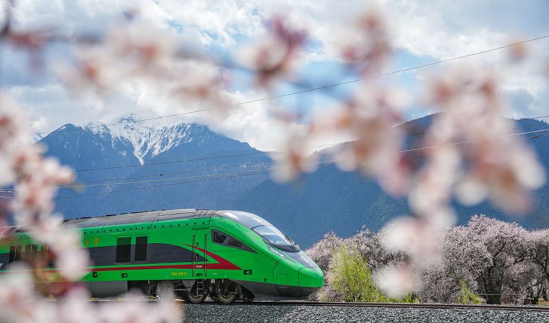 2025年4月2日，復(fù)興號列車穿行在拉林鐵路林芝段。