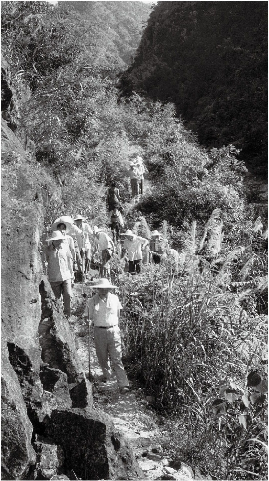 1989年7月，習(xí)近平一行到壽寧縣下黨鄉(xiāng)調(diào)研。