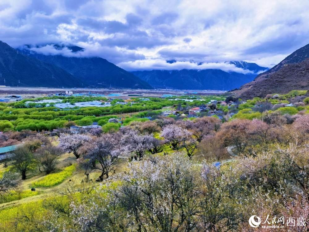 桃花從中的“童話小鎮(zhèn)”。人民網(wǎng) 李海霞攝