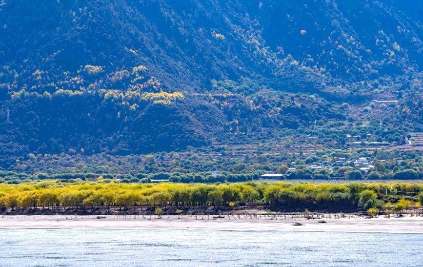 西藏:雅尼濕地秋日風(fēng)光正好【2】