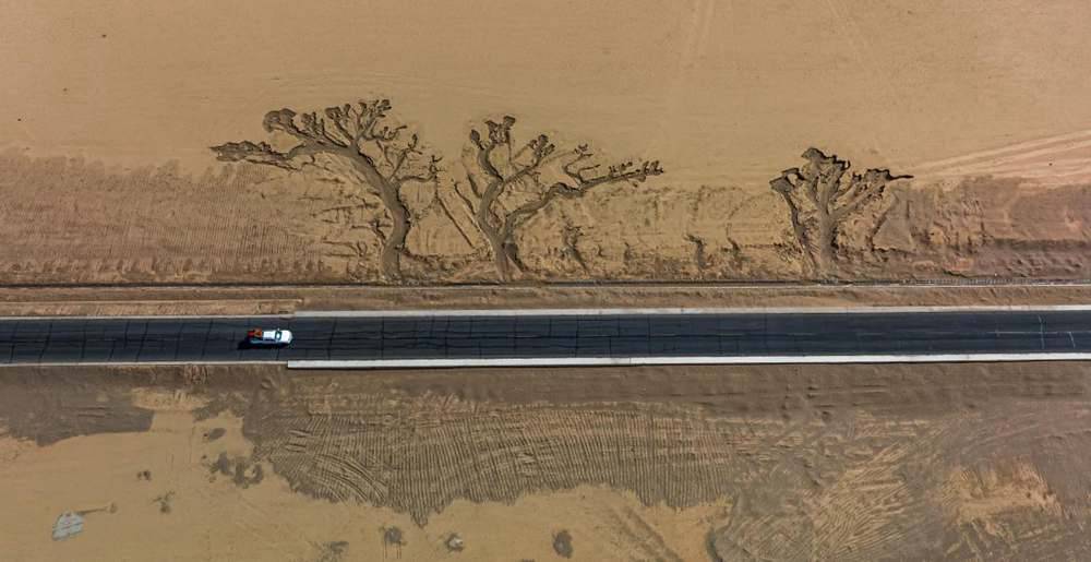 位于國道216沿線的“大地之樹”。邊巴多吉攝