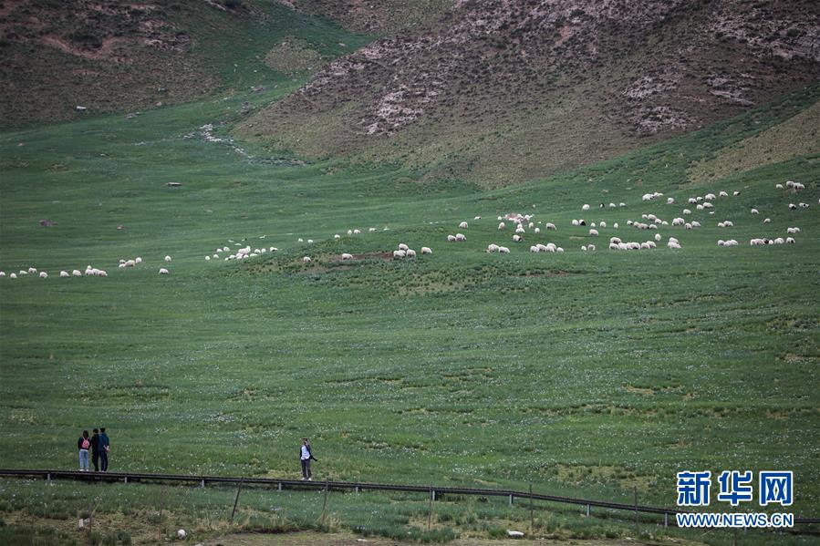 (美麗中國(guó))(3)祁連山下冰溝河 水草豐茂美如畫