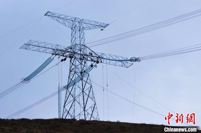 高原藏區(qū)電力線路建設(shè)者：高寒缺氧、扎刺掛彩是常事