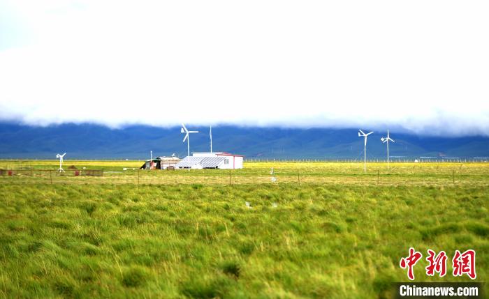 四川若爾蓋花湖生態(tài)治理:黑頸鶴“家族”日漸壯大