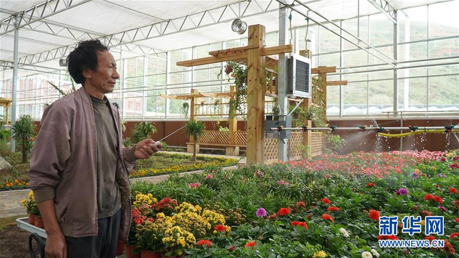 (圖文互動(dòng))(2)云端鋪就幸福路——四川甘孜州脫貧奔小康一線見(jiàn)聞