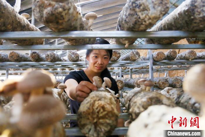 甘肅天?！跋愎椒蚱蕖毕律饺氪ǎ捍笈锢镉板X景”