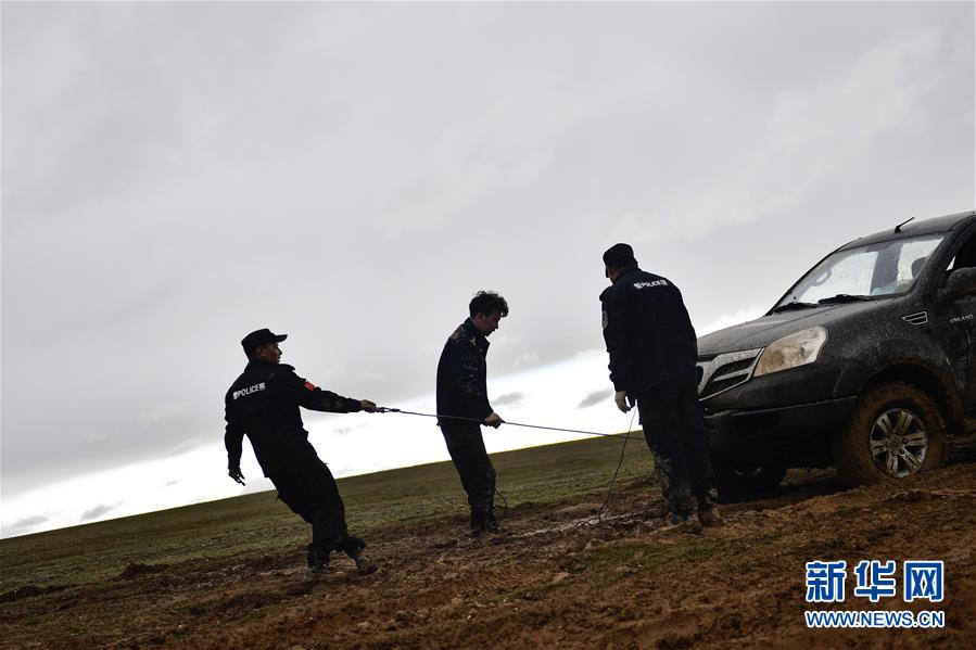 （圖文互動）（10）記者手記：可可西里，“挪”向“藏羚羊大產(chǎn)房”的14個(gè)半小時(shí)