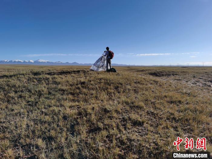 圖為索南達杰保護站保護隊員在可可西里找到露營的葉某?！∴嚭Ｆ?攝