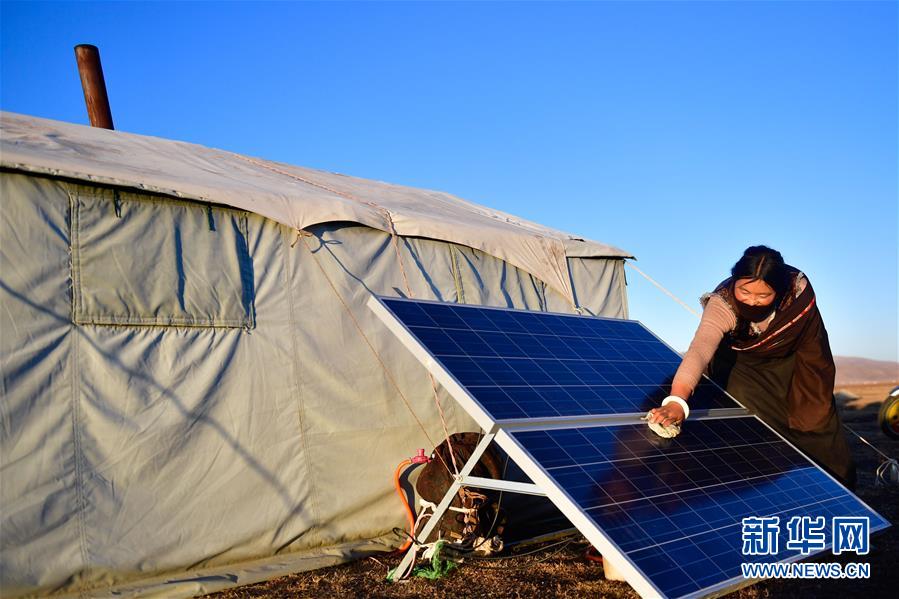 (社會(huì))(4)青海稱多:生態(tài)畜牧業(yè)奏響牧歌