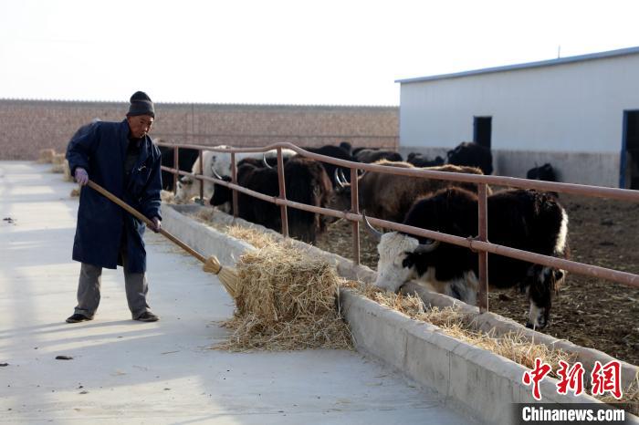 柴達(dá)木盆地蓮湖村：讓致富村民生活“?！逼饋?/></a></div>
                        <div   id=