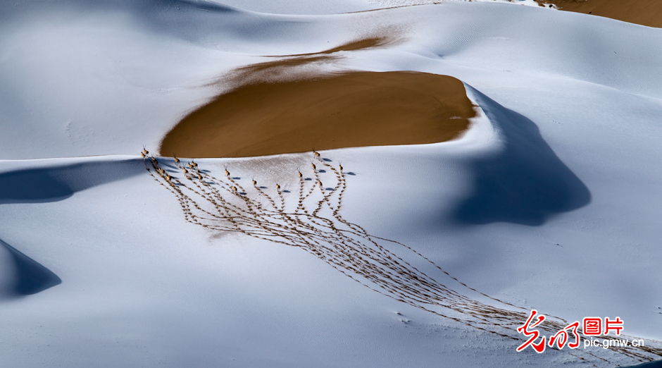 三江源國家公園正式設(shè)立，這是青海生態(tài)文明建設(shè)的新答卷