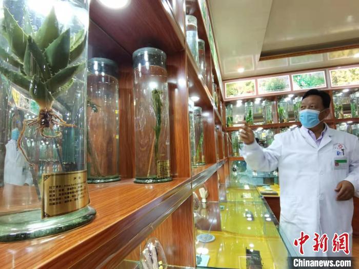 甘肅省甘南藏族自治州碌曲縣藏醫(yī)院副院長看照加近30年的從醫(yī)工作，堅持中藏醫(yī)特色優(yōu)勢相結(jié)合診療方法?！堟?攝