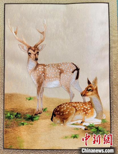 圖為藏繡作品?！∑钤鲚?攝