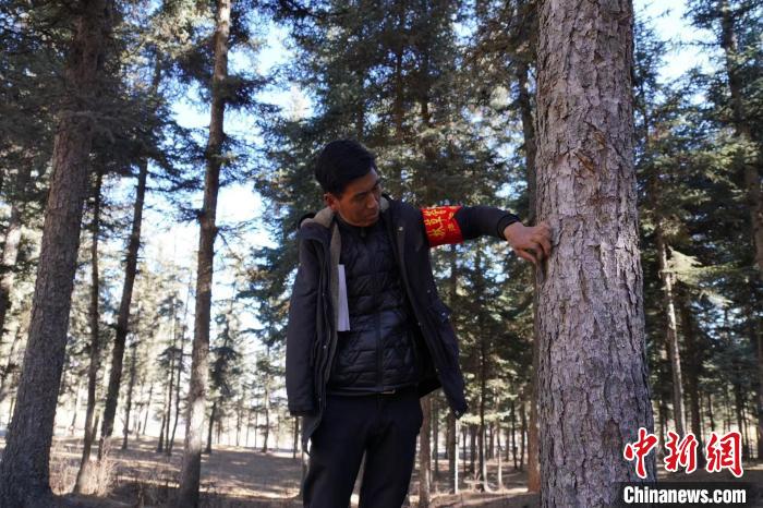 青海尖扎:獨臂護(hù)林員高原深山“守綠”13年