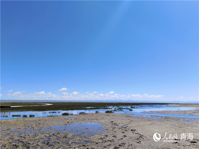   青海湖仙女灣。人民網(wǎng) 張莉萍攝