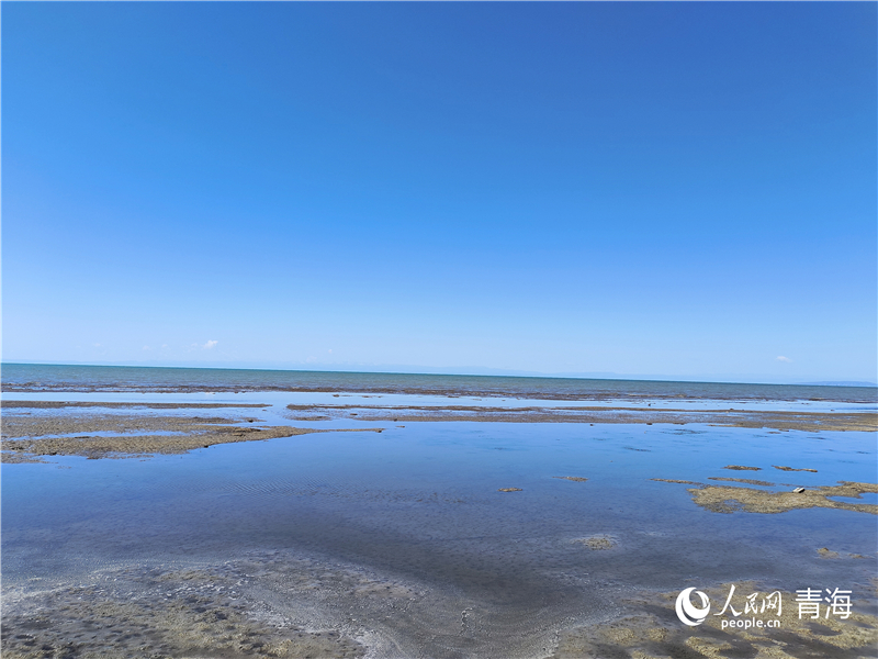   青海湖仙女灣。人民網(wǎng) 張莉萍攝