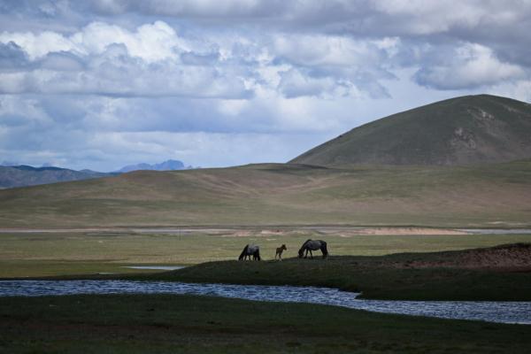 唐古拉山腳下，聽牧民講述長江源生活變遷
