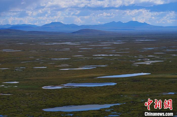 圖為查旦濕地?！●R銘言 攝