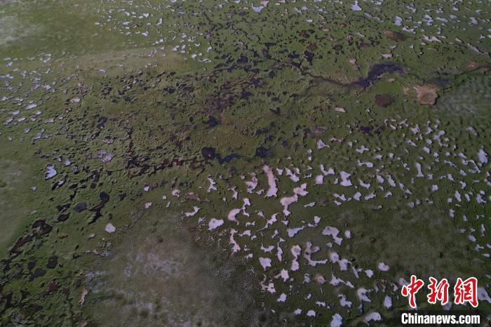 航拍查旦濕地?！●R銘言 攝