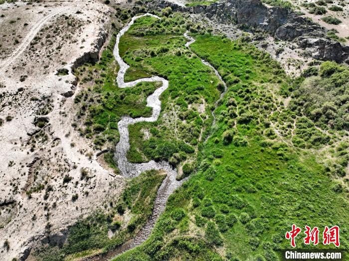 圖為航拍都蘭湖國(guó)家濕地公園綠意盎然?！∑钤鲚?攝