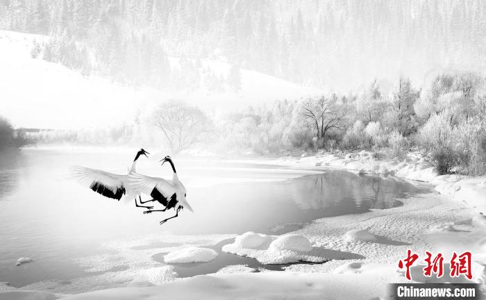 圖為焦生福的作品《鶴嬉雪林》。　青海省祁連山自然保護(hù)協(xié)會供圖