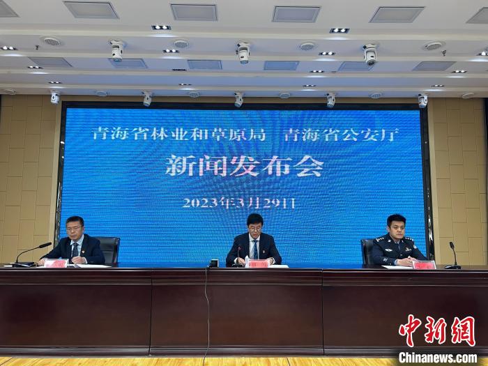 青海去年占用林地、草地準予許可件同比實現(xiàn)“雙減”