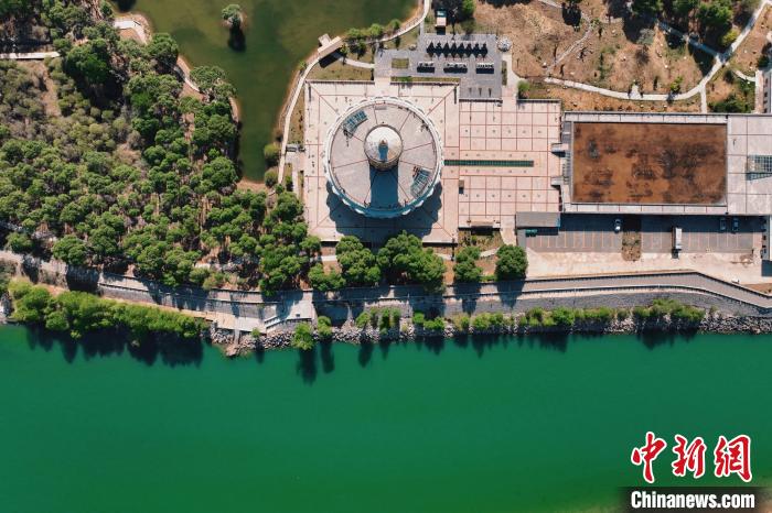 航拍青海貴德黃河岸畔綠意濃濃?！≮w凜松 攝