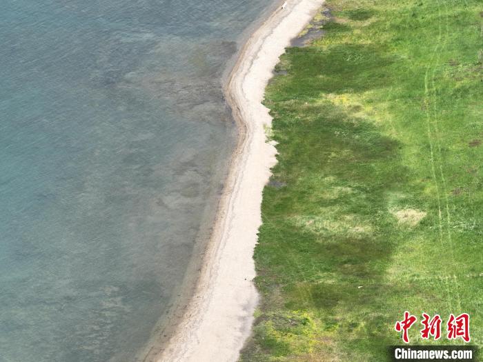 圖為航拍仲夏時節(jié)，青海湖畔綠茵如毯?！∑钤鲚?攝