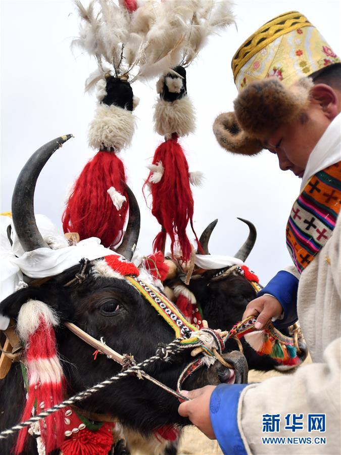 (經濟)(2)西藏:春耕第一犁