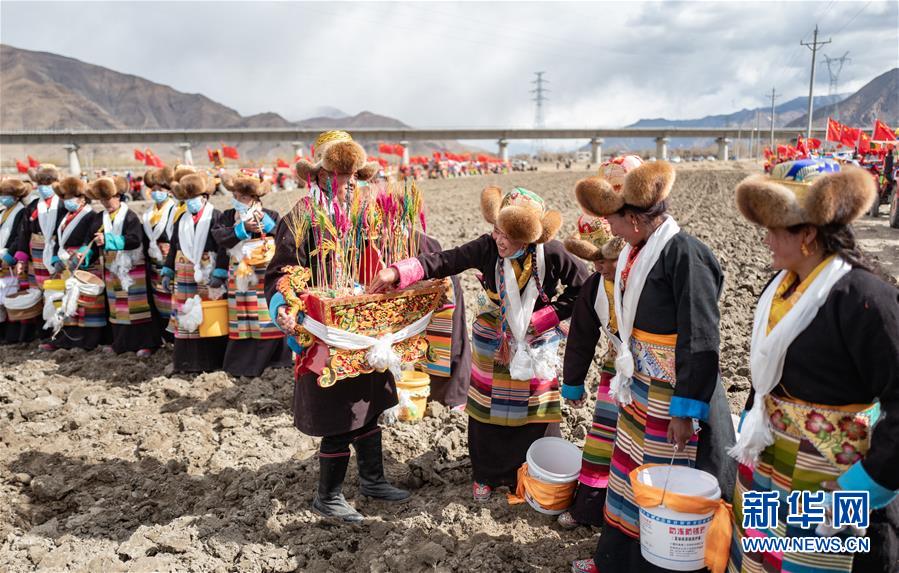 (經濟)(3)西藏:春耕第一犁