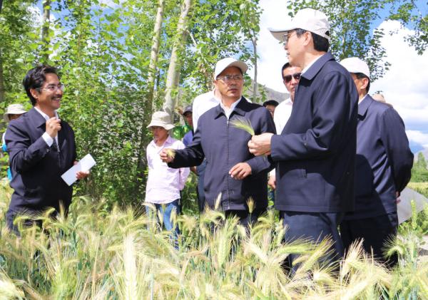 全國表彰大會上，為什么只有他沒到？