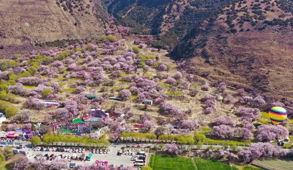 世外桃源！一組圖告訴你，西藏林芝桃花能有多美