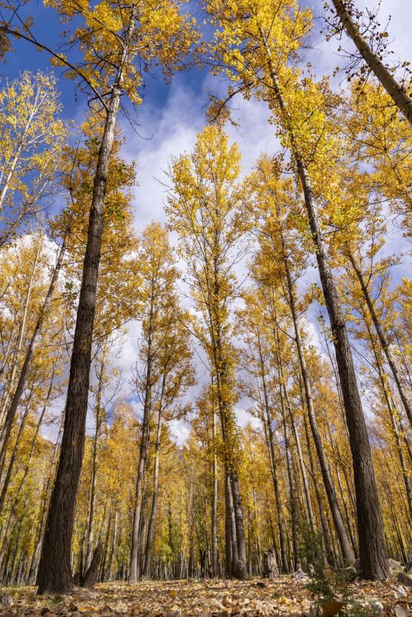 跟我，踏上最美“景觀大道”