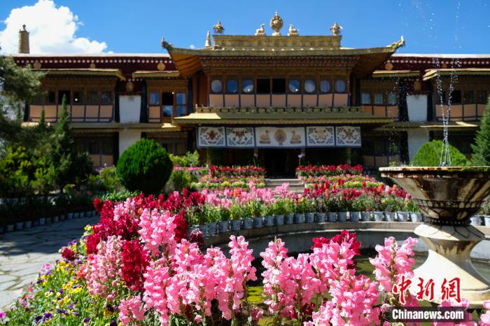 圖為夏日羅布林卡(資料圖)。趙朗攝